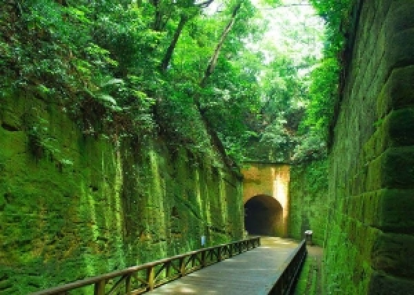 【手機交友APP推薦】療癒風景就在身邊！東京周邊的自然秘境美景特輯
